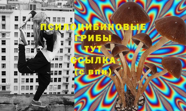 соль ск Вязники